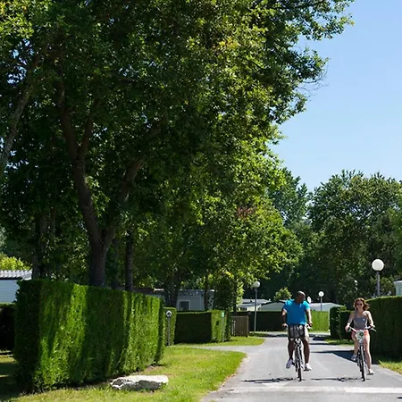 Holiday home Holiday Avenue De La Palmyre - 4